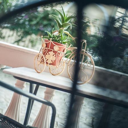 Zante Nest Studios & Apartments Αλυκανάς Εξωτερικό φωτογραφία