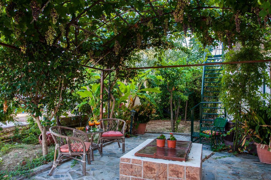 Zante Nest Studios & Apartments Αλυκανάς Εξωτερικό φωτογραφία