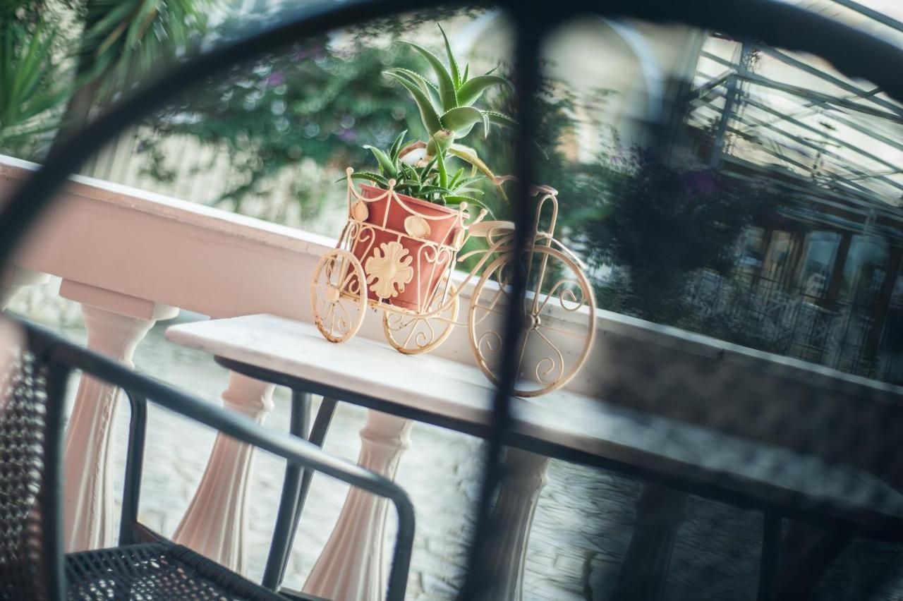 Zante Nest Studios & Apartments Αλυκανάς Εξωτερικό φωτογραφία